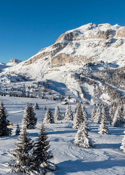 Panoramica invernale delle Dolomiti ad Arabba, con piste da sci innevate, abeti e le imponenti vette.