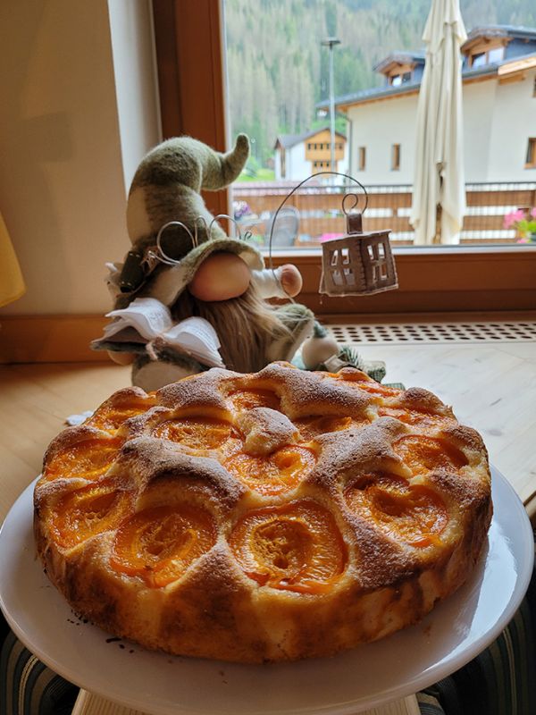 Una torta di albicocche fatta in casa, parte della colazione del Garni Royal, con un folletto decorativo e vista sulle Dolomiti.