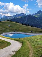 Sentiero sterrato che serpeggia verso un lago alpino blu, circondato da verdi pascoli e imponenti Dolomiti sotto un cielo azzurro.